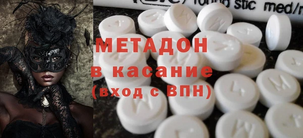 хмурый Аркадак