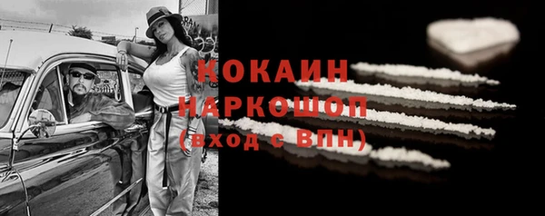 хмурый Аркадак