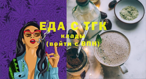 хмурый Аркадак