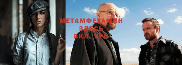 хмурый Аркадак
