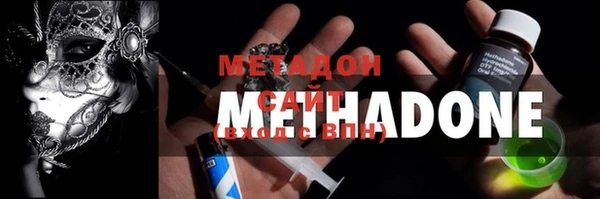 хмурый Аркадак