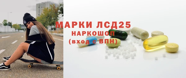 хмурый Аркадак