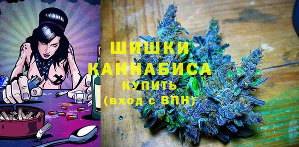 хмурый Аркадак