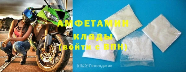 хмурый Аркадак
