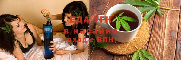 хмурый Аркадак