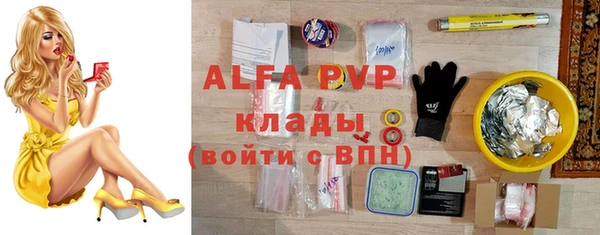 хмурый Аркадак
