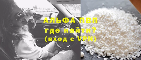 хмурый Аркадак