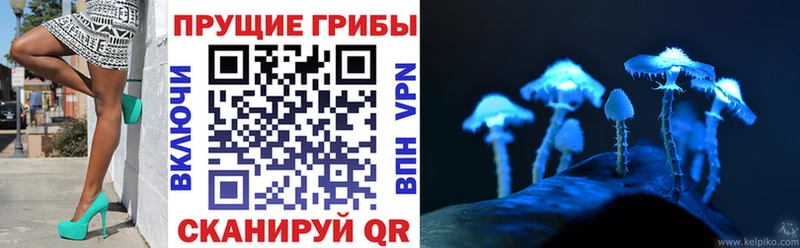 omg ТОР  где купить   Белинский  Псилоцибиновые грибы мухоморы 